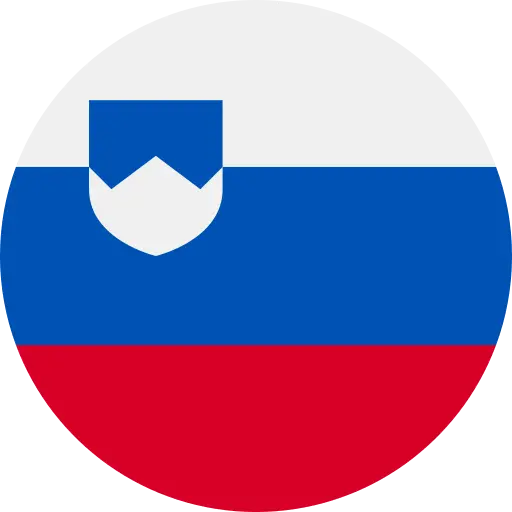 logo-small V Zideh